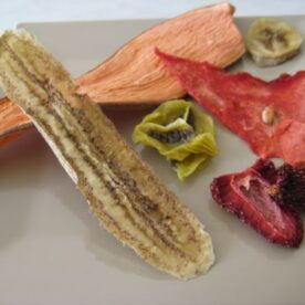 dehydrated-fruits-teethers.jpg