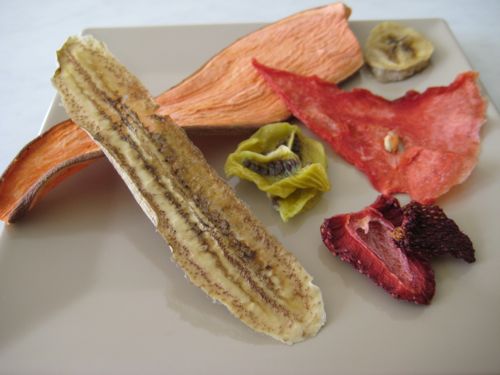 dehydrated-fruits-teethers.jpg