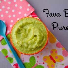 Fava Bean Puree