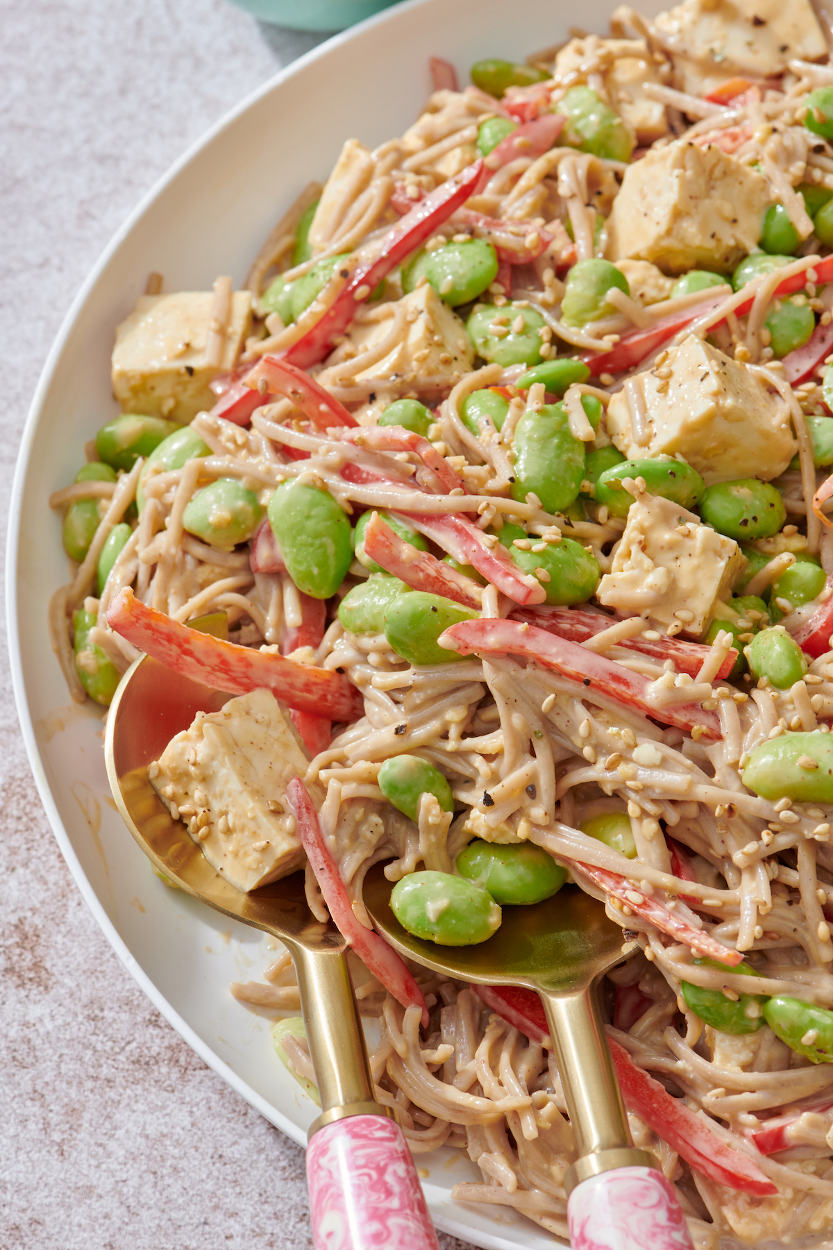 Close up of Cold Soba Noodles.