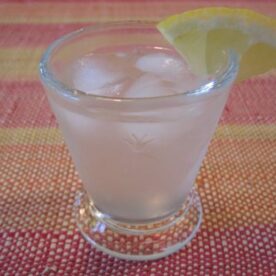 agave-lemonade.jpg