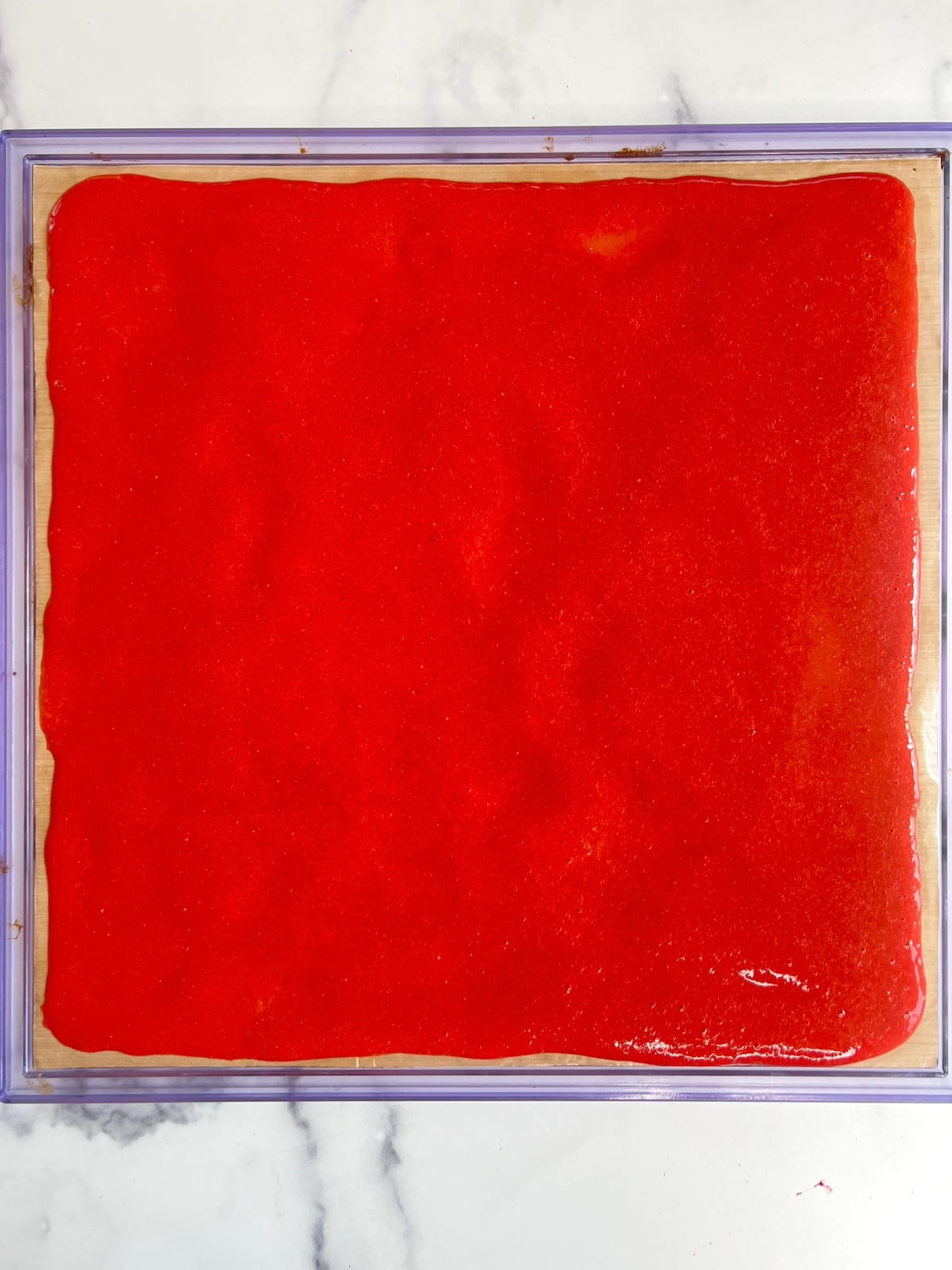 Strawberry puree evenly spread on dehydrator tray.