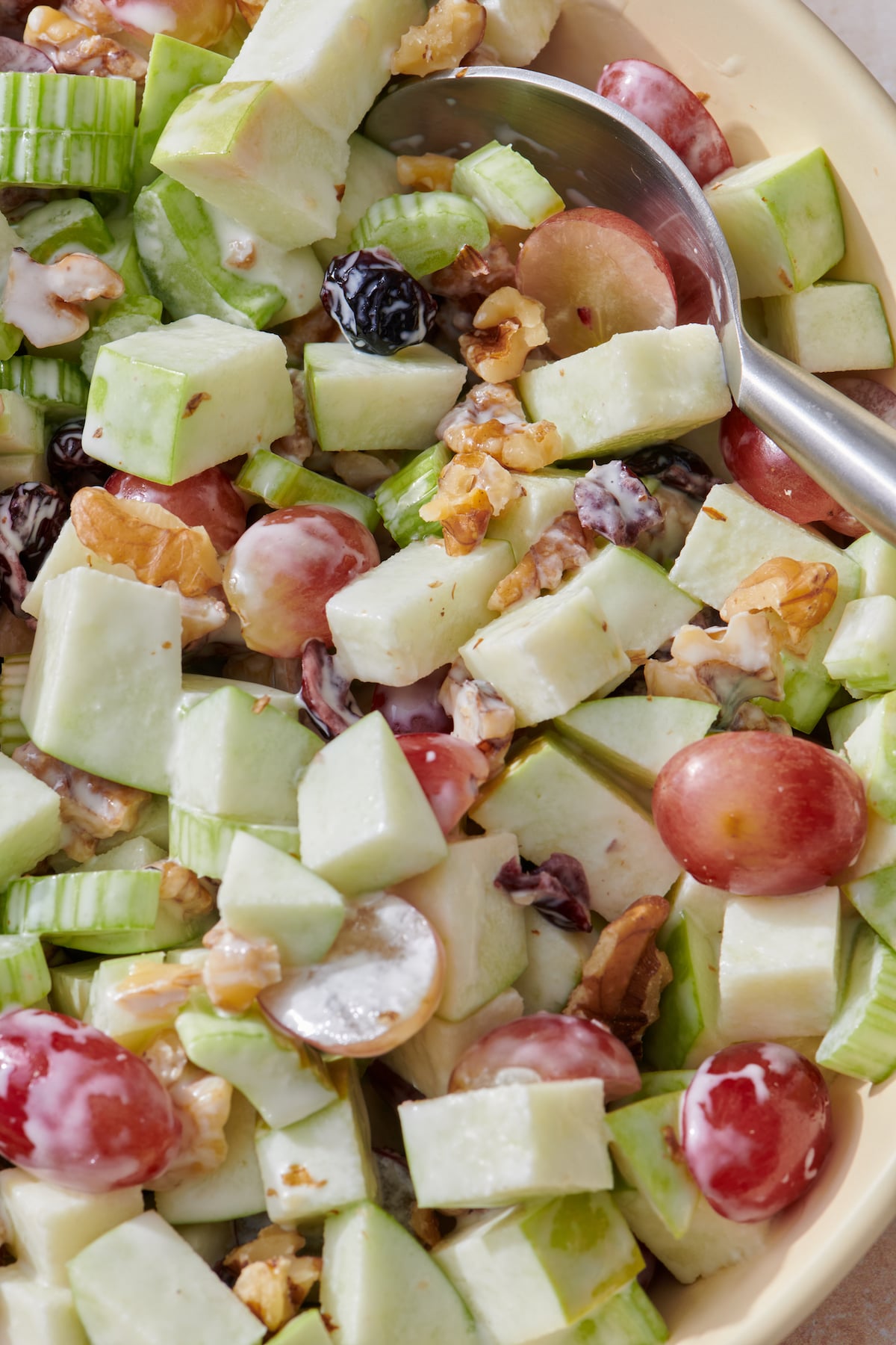 Close up of Waldorf Salad