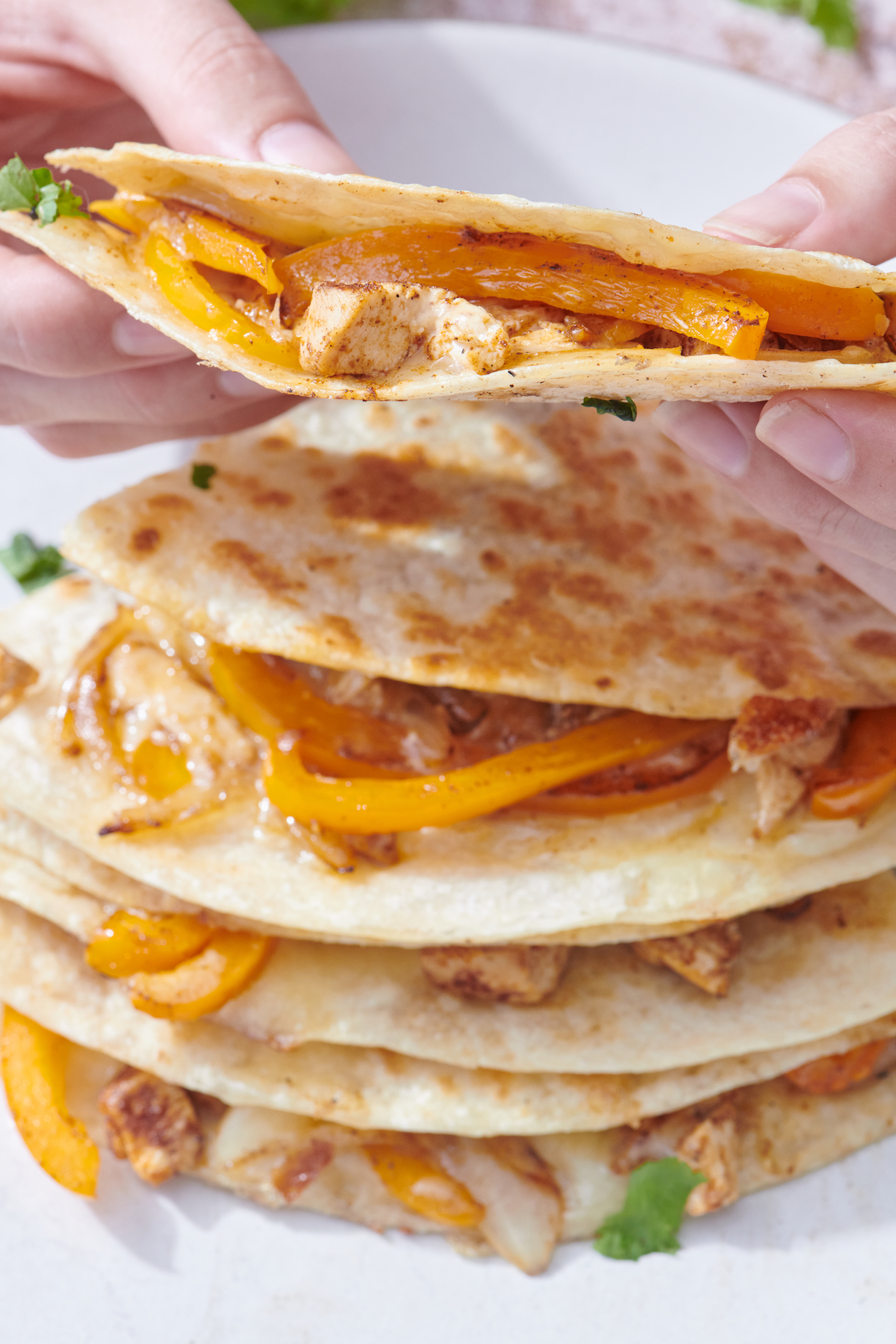 Hand holding wedge of chicken fajita quesadilla.