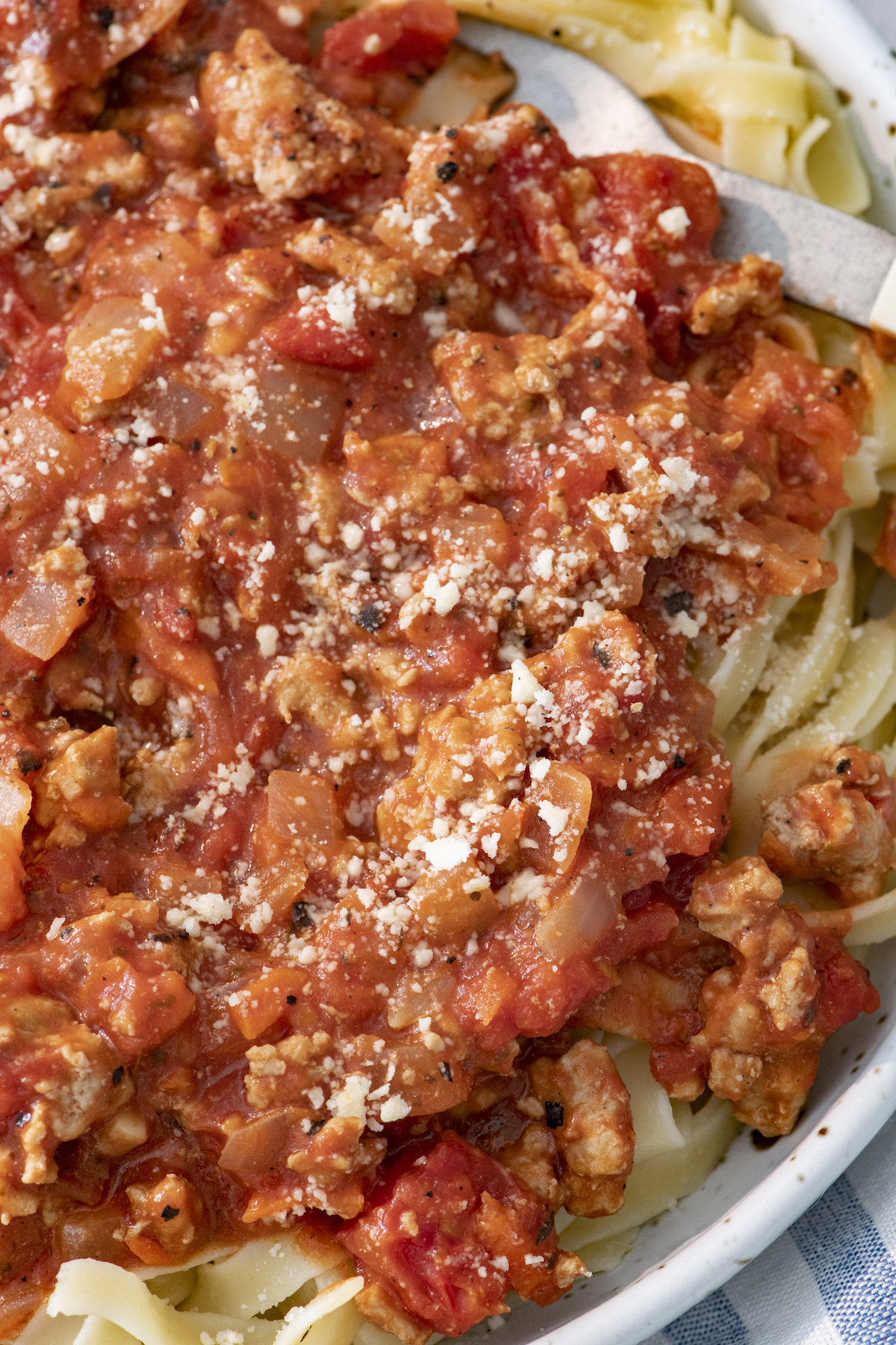 Close up of turkey bolognese.