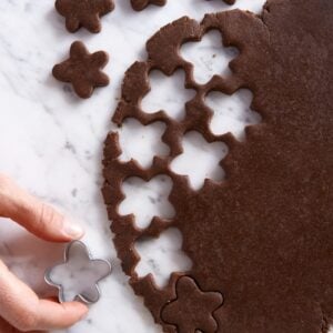 Chocolate Graham Crackers from weelicious.com