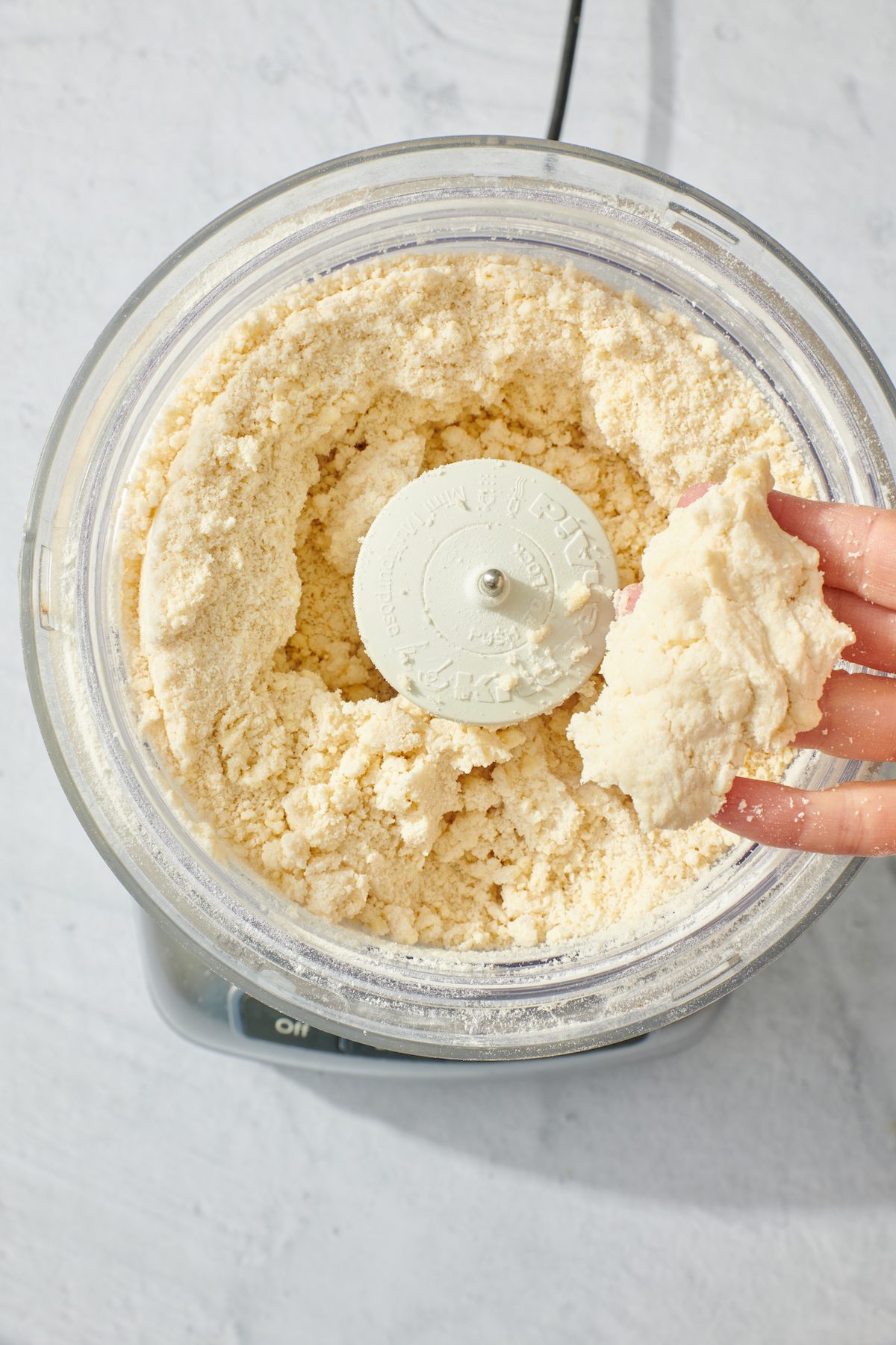 Pie dough in food processor.