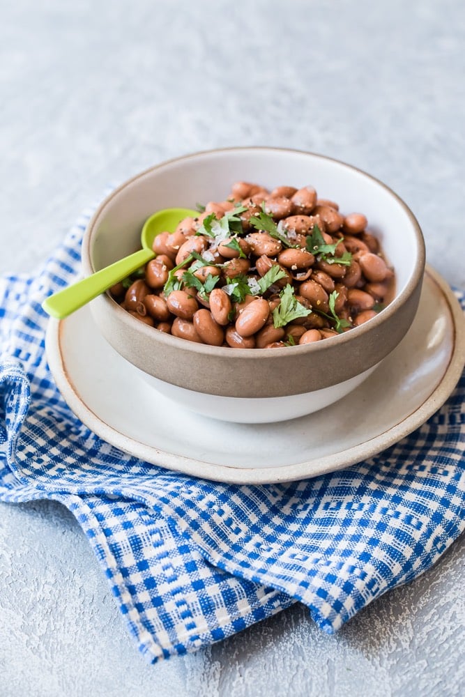Pinto beans in a bowl topped with cilantro.