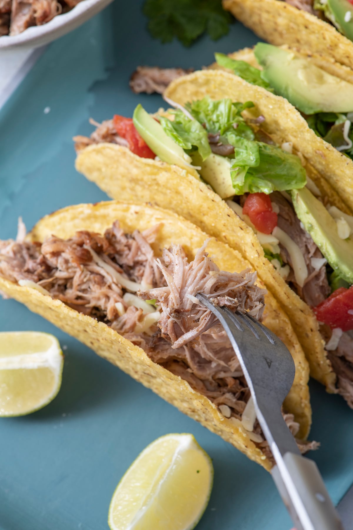 Taco with Mexican pulled pork.