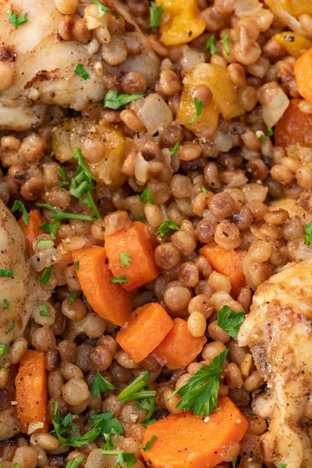 Close up of Israeli couscous, carrots and spices.
