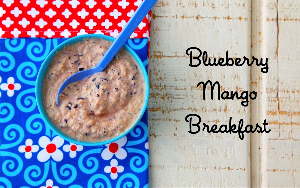 Blueberry Mango Breakfast Baby Food from Weelicious