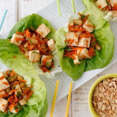 Vegetarian Lettuce Wraps from Weelicious