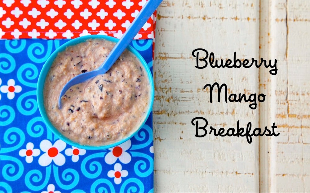 Blueberry Mango Breakfast from Weelicious