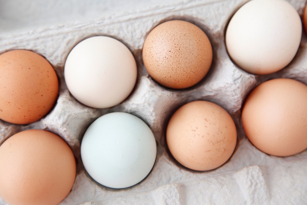 12 Snacks Under 200 Calories from weelicious.com 12 Snacks Under 200 Calories from weelicious.com