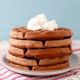 Dark Chocolate Spelt Waffles from weelicious.com