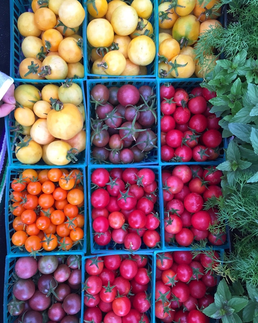 5 Easy Ways to Get Your Kids to Eat more Fruits and Veggies from weelicious.com