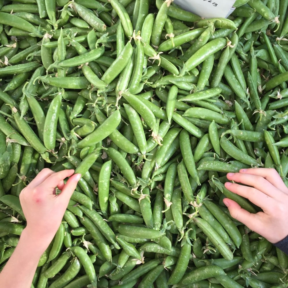 5 Easy Ways to Get Your Kids to Eat more Fruits and Veggies from weelicious.com