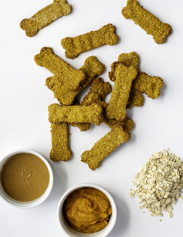 Homemade Dog Treats from Weelicious.com