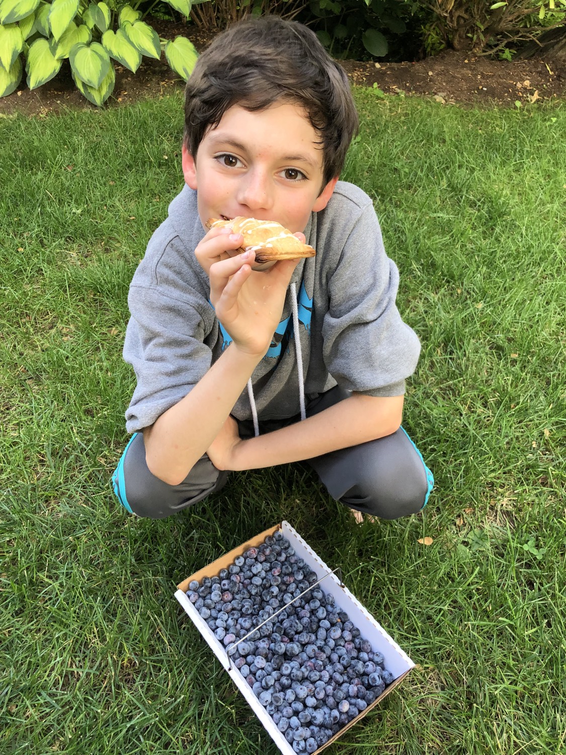 Homemade Fruit Pop Tarts from Weelicious.com