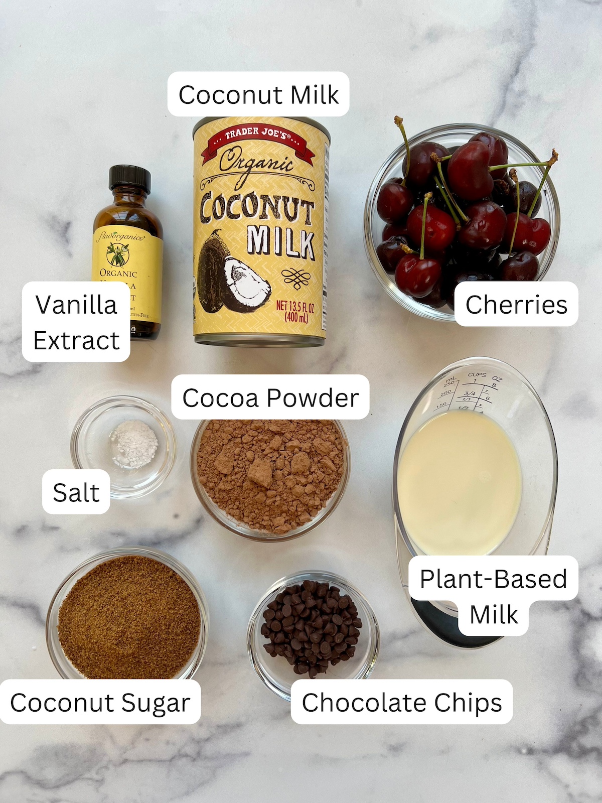 Dairy Free Chocolate Cherry Ice Cream Ingredients.
