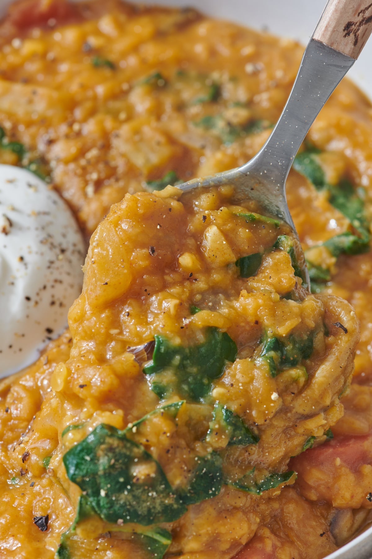 Spoonful of smoky red lentil stew.