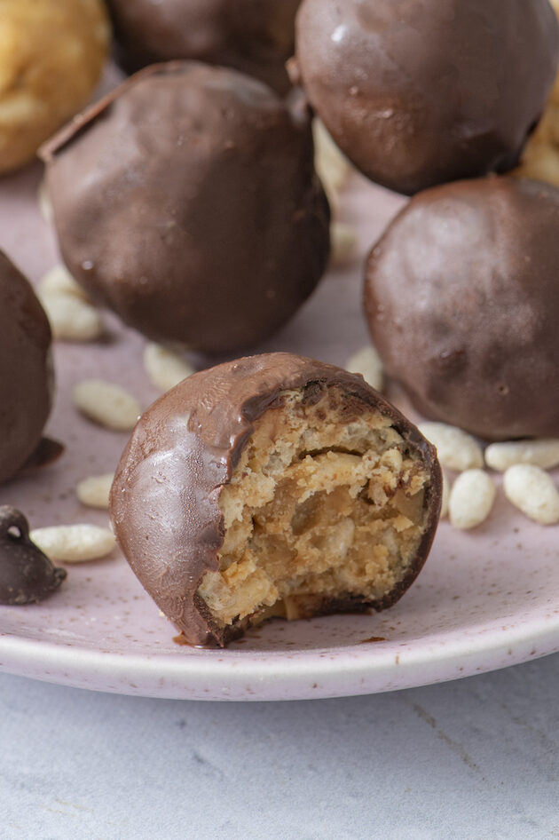 close up of crispy rice bite