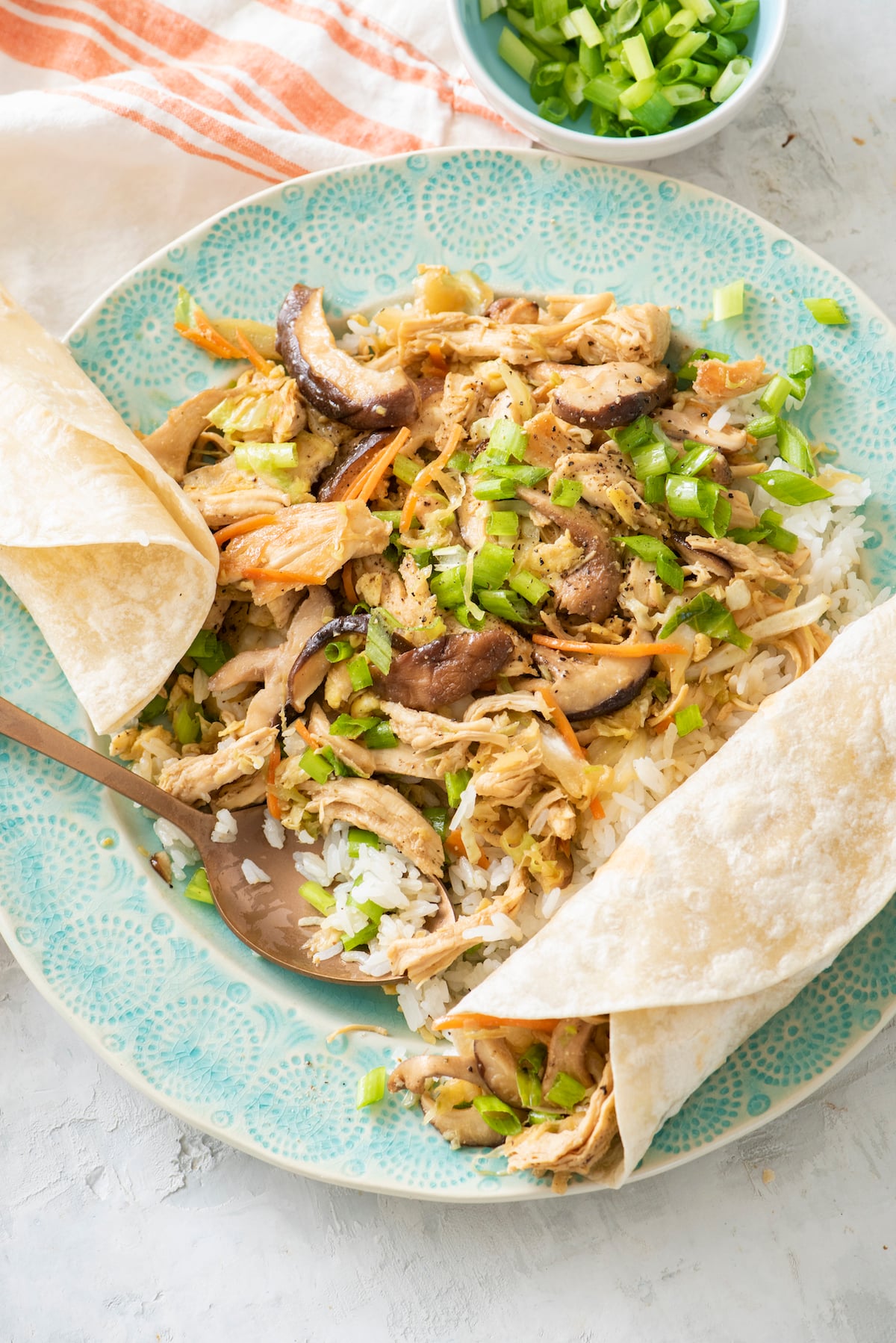 Mu shu chicken on serving plate.