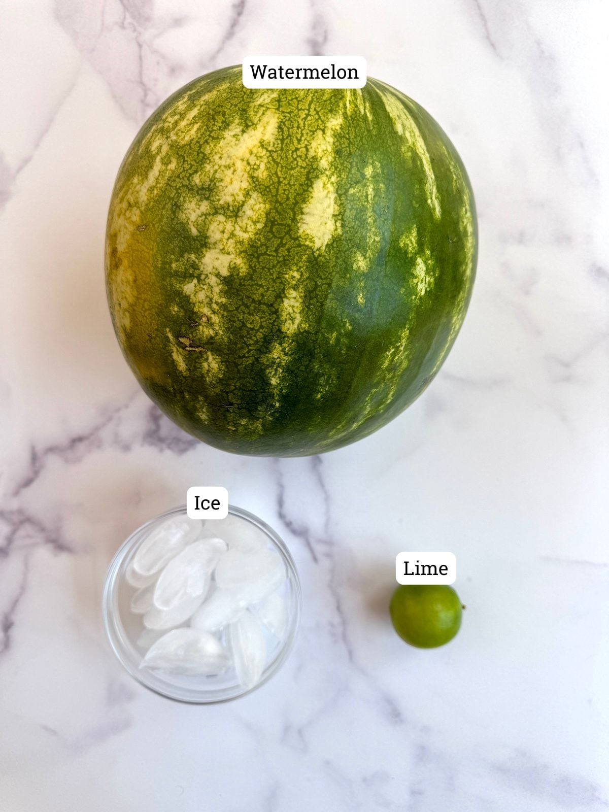 Ingredients to make watermelon slushies.