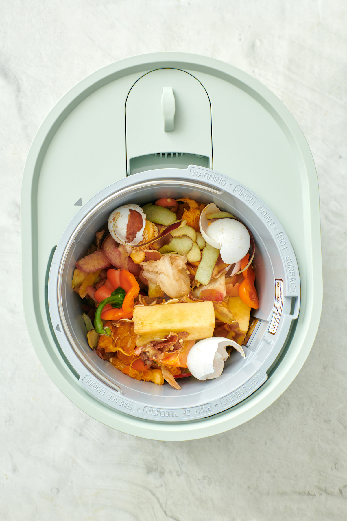 Food waste in Lomi device.