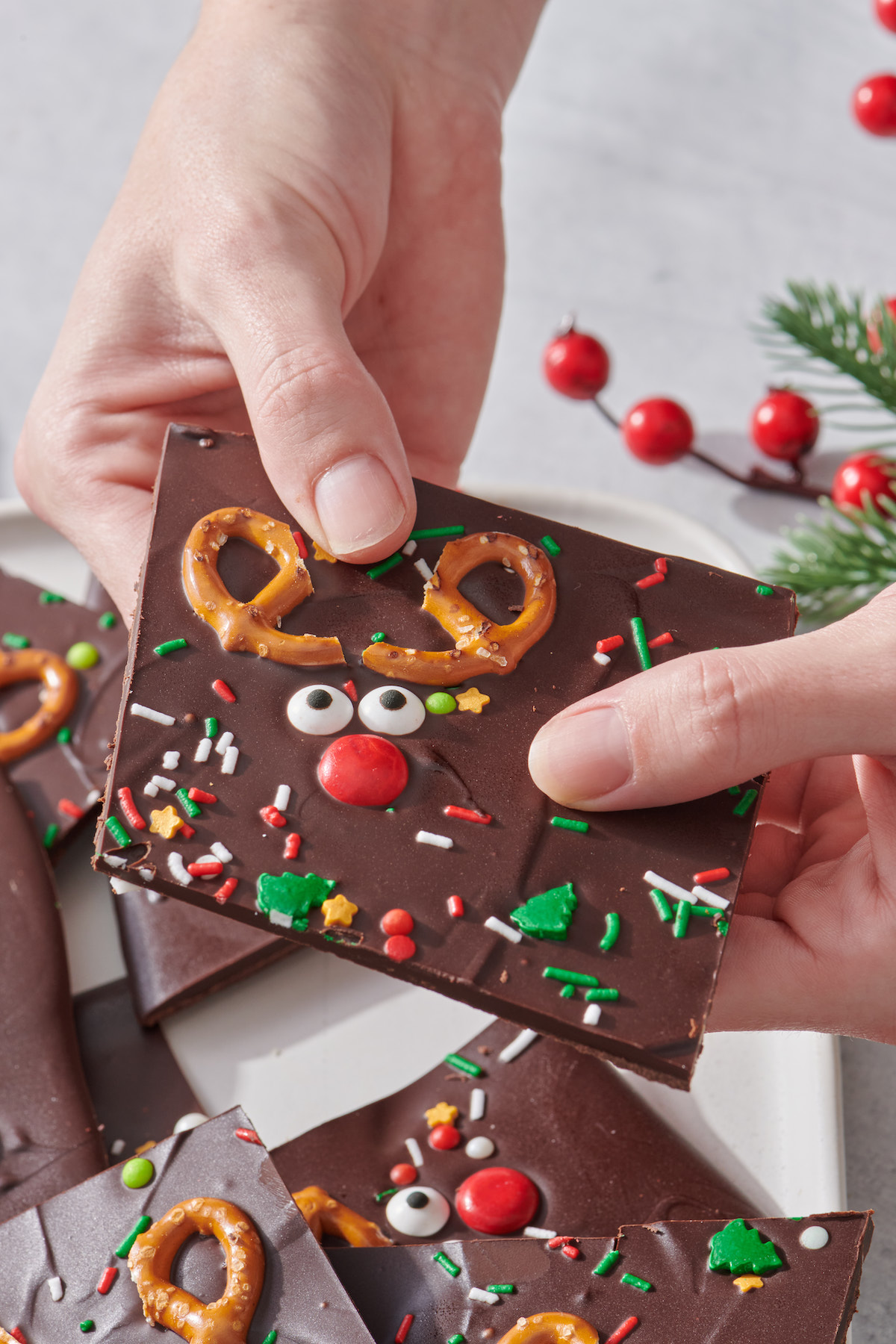 Hand holding piece of chocolate reindeer bark.
