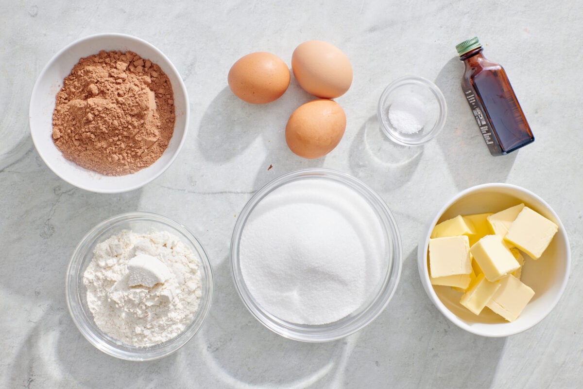 Cocoa powder, flour, sugar, eggs, butter, salt and vanilla extract.