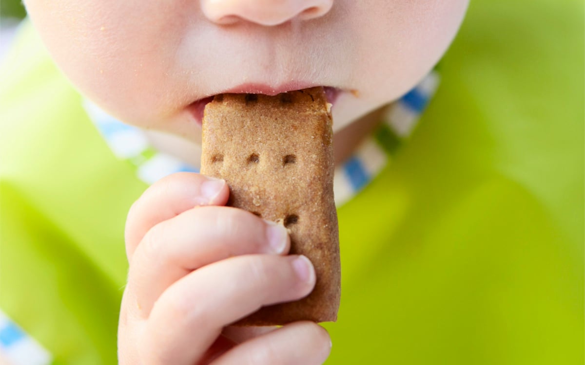 Toddler eating small cookie.