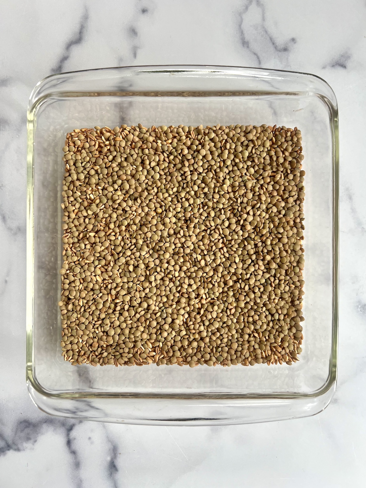 Lentils and farro in baking dish.