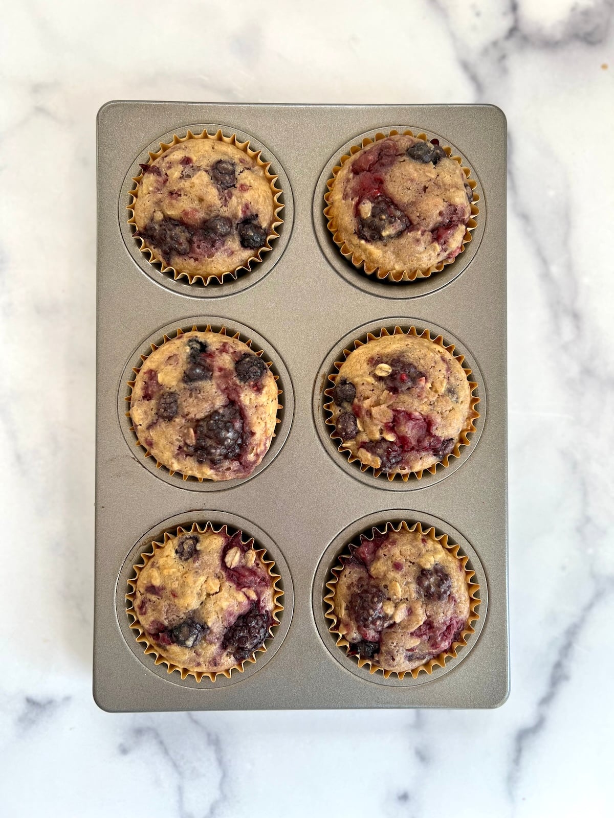 Baked very berry muffins cooling in muffin tin.