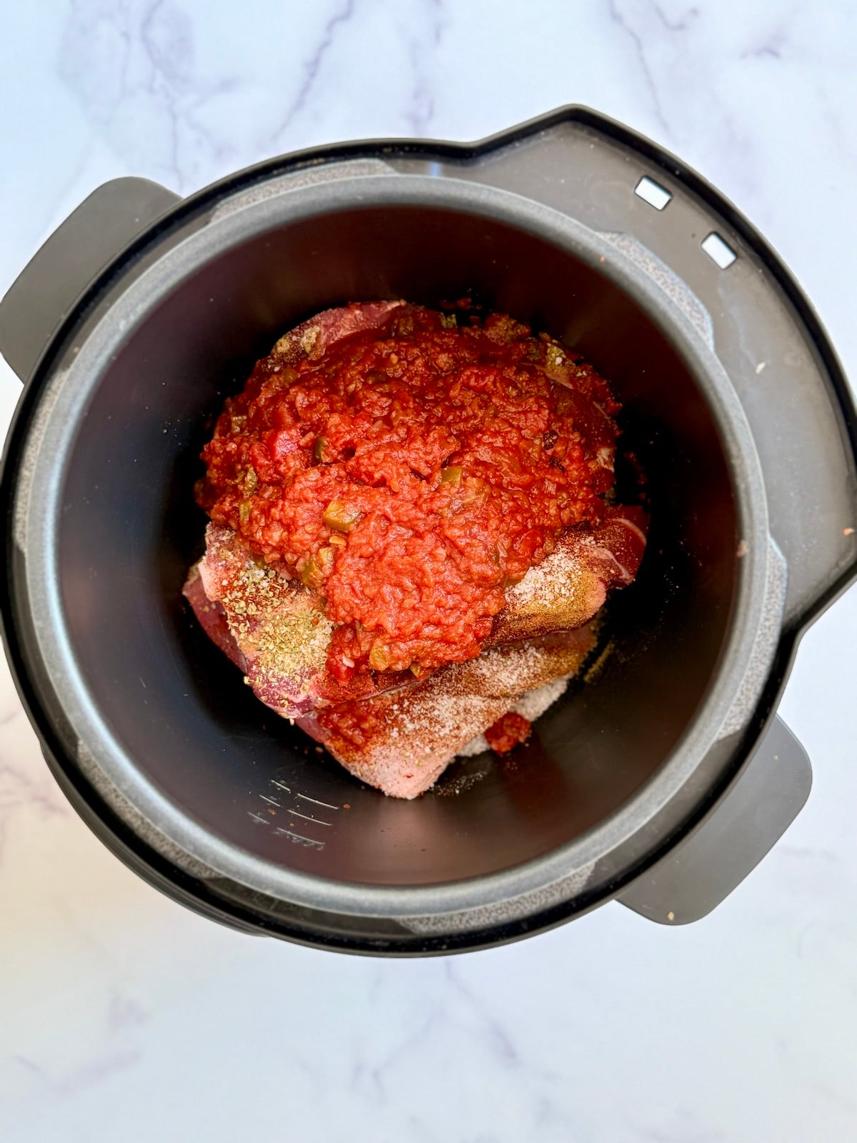 Pork butt, salsa and spices in a slow cooker.