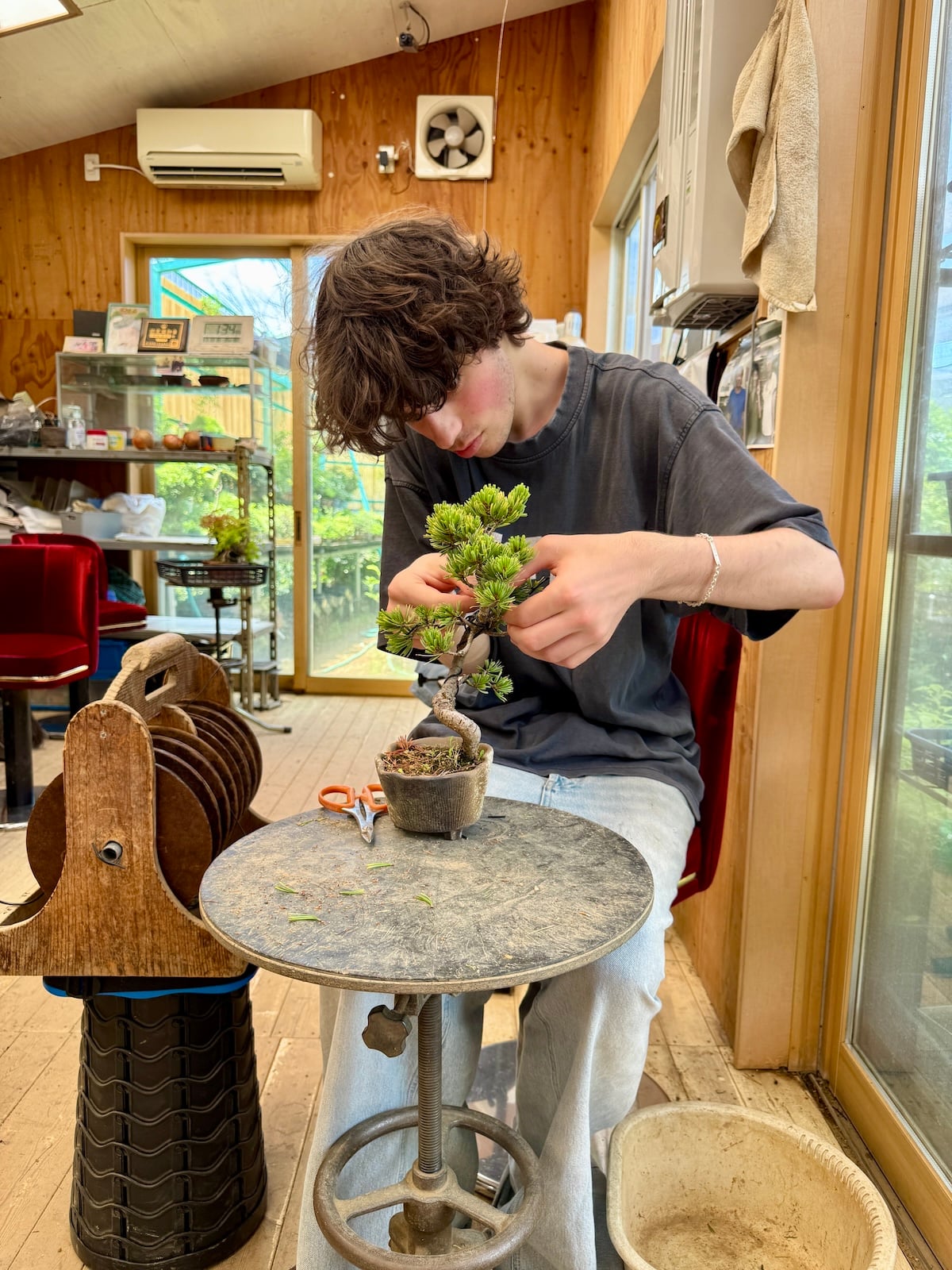 Boy working with a small bonsai tree.