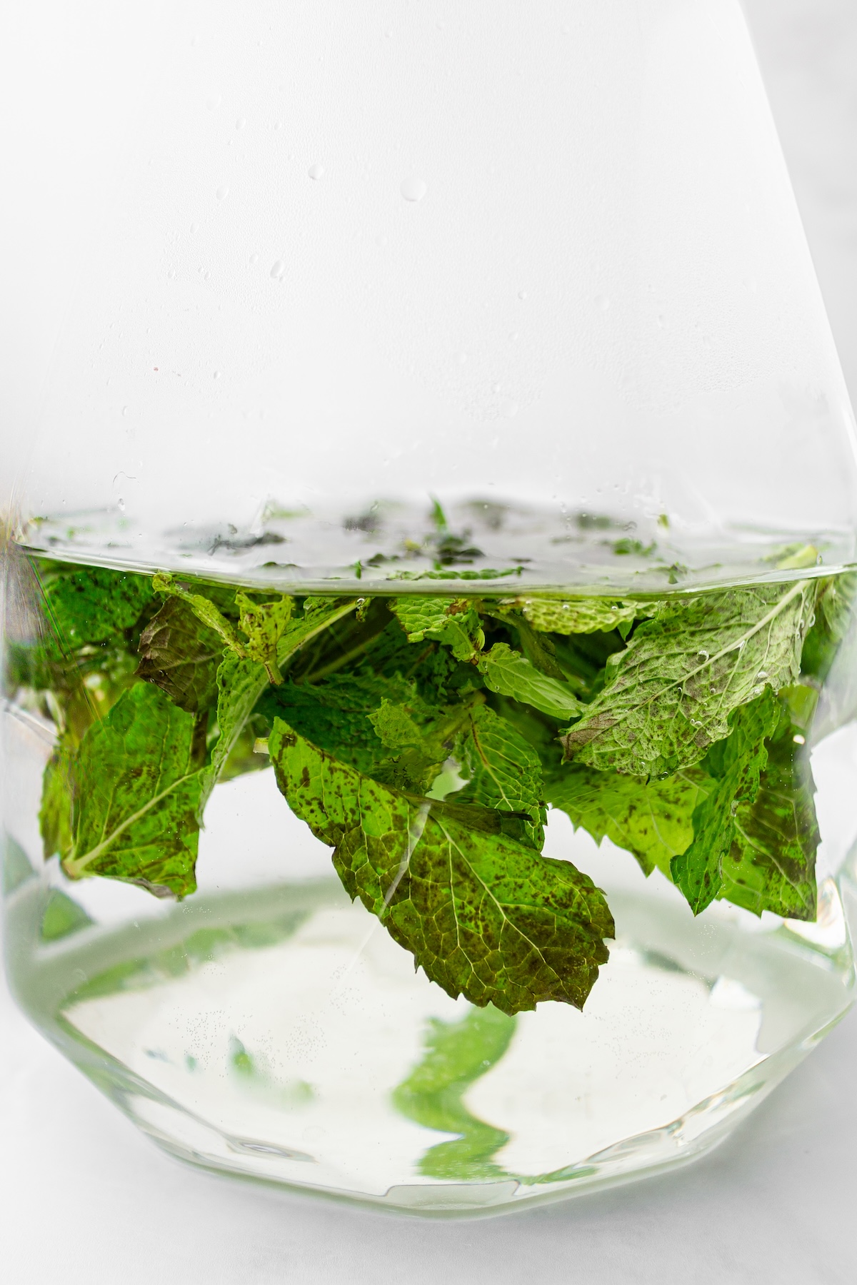 Water and mint leaves in a pitcher.
