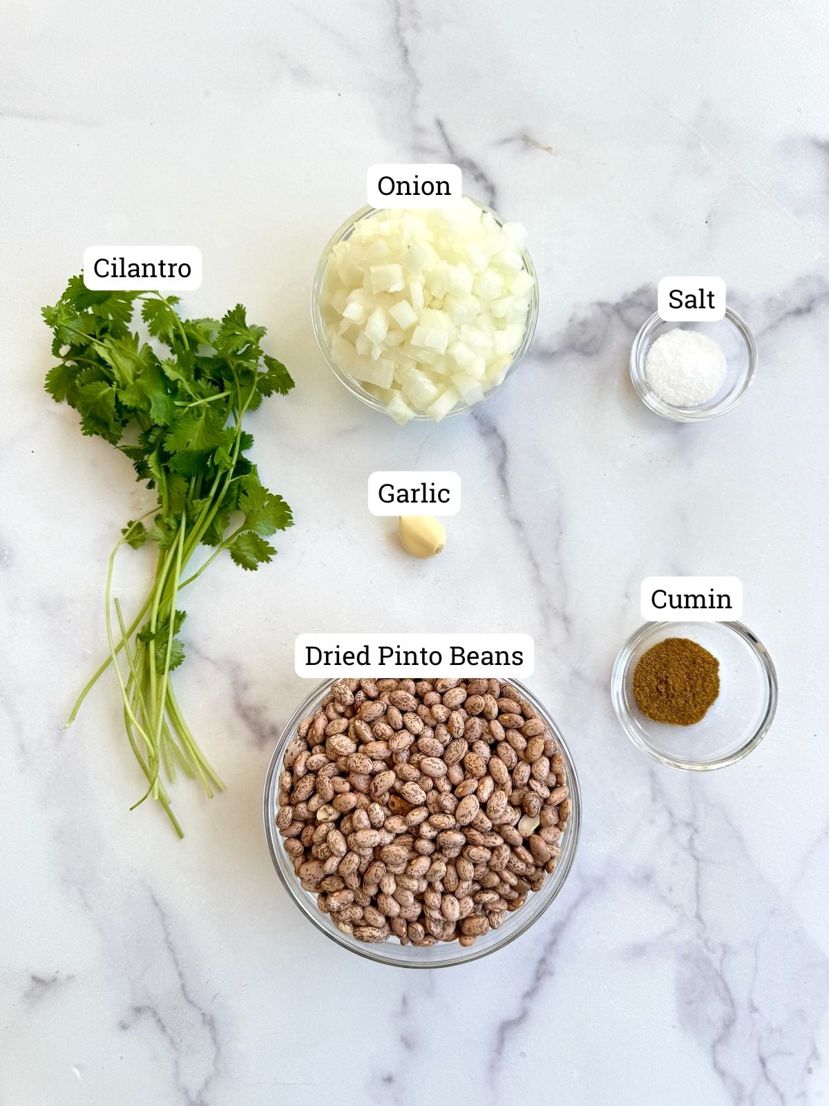 Ingredients for pressure cooker pinto beans.