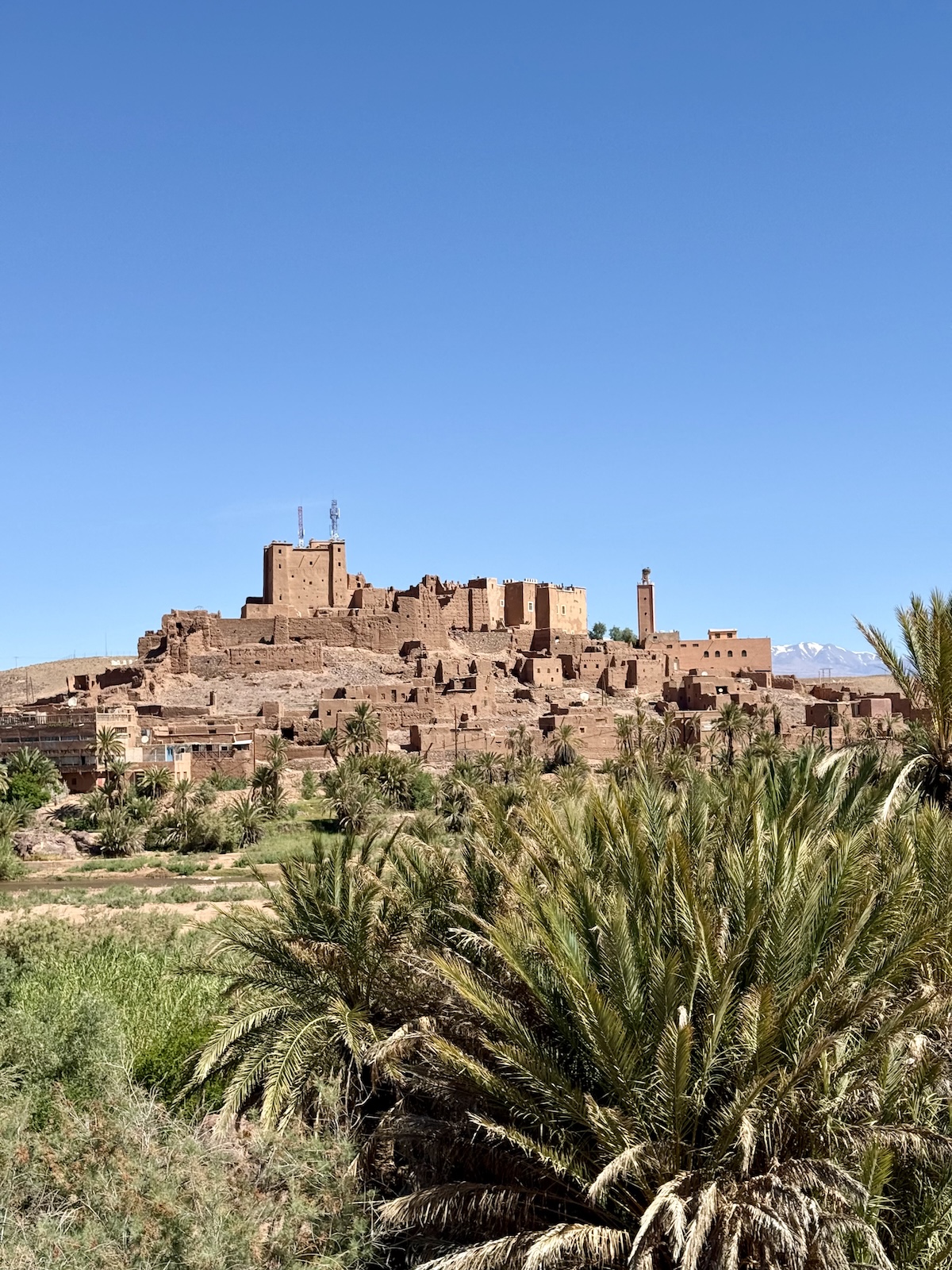 The ancient ksar and kasbah landscape of Ouarzazate surrounded by palm trees.